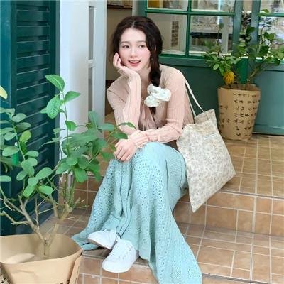 史前狂鲨