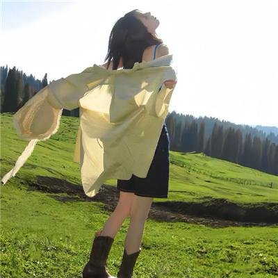 沙滩鼠